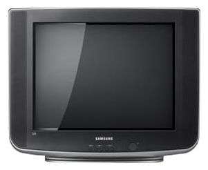 Samsung CS-21B501HL