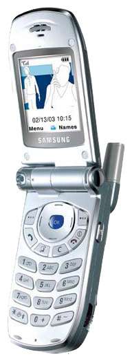 Samsung SGH-Z100